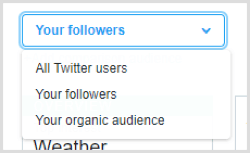 Regola il filtro di analisi da I tuoi follower al tuo pubblico organico per visualizzare i dati su tutto il tuo pubblico, non solo sui tuoi follower. 