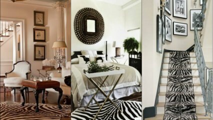 Moda zebra nella decorazione domestica