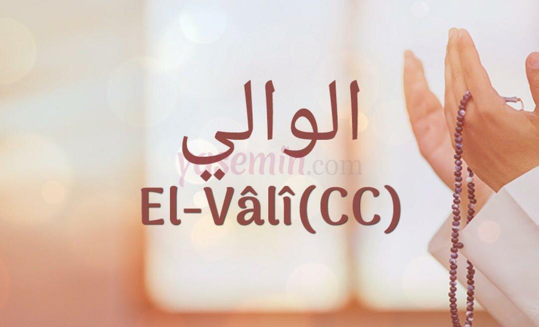 Cosa significa Al-Vali (c.c) da Esma-ul Husna? Quali sono le virtù di al-Vali (c.c)?