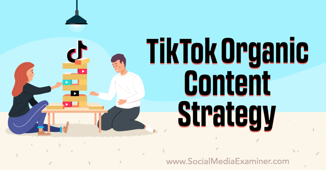 Strategia di contenuto organico di TikTok: Esaminatore di social media