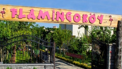 Dov'è il Flamingo Village? Come andare? Quanto costa la colazione?