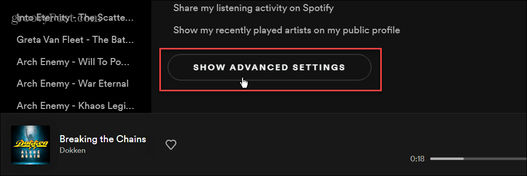 Mostra Impostazioni avanzate Spotify