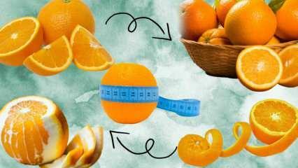Quante calorie ci sono in un'arancia? Quanti grammi è 1 arancia media? Mangiare arancia fa ingrassare?