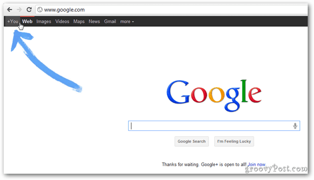 Home page di Google Google+ pubblica
