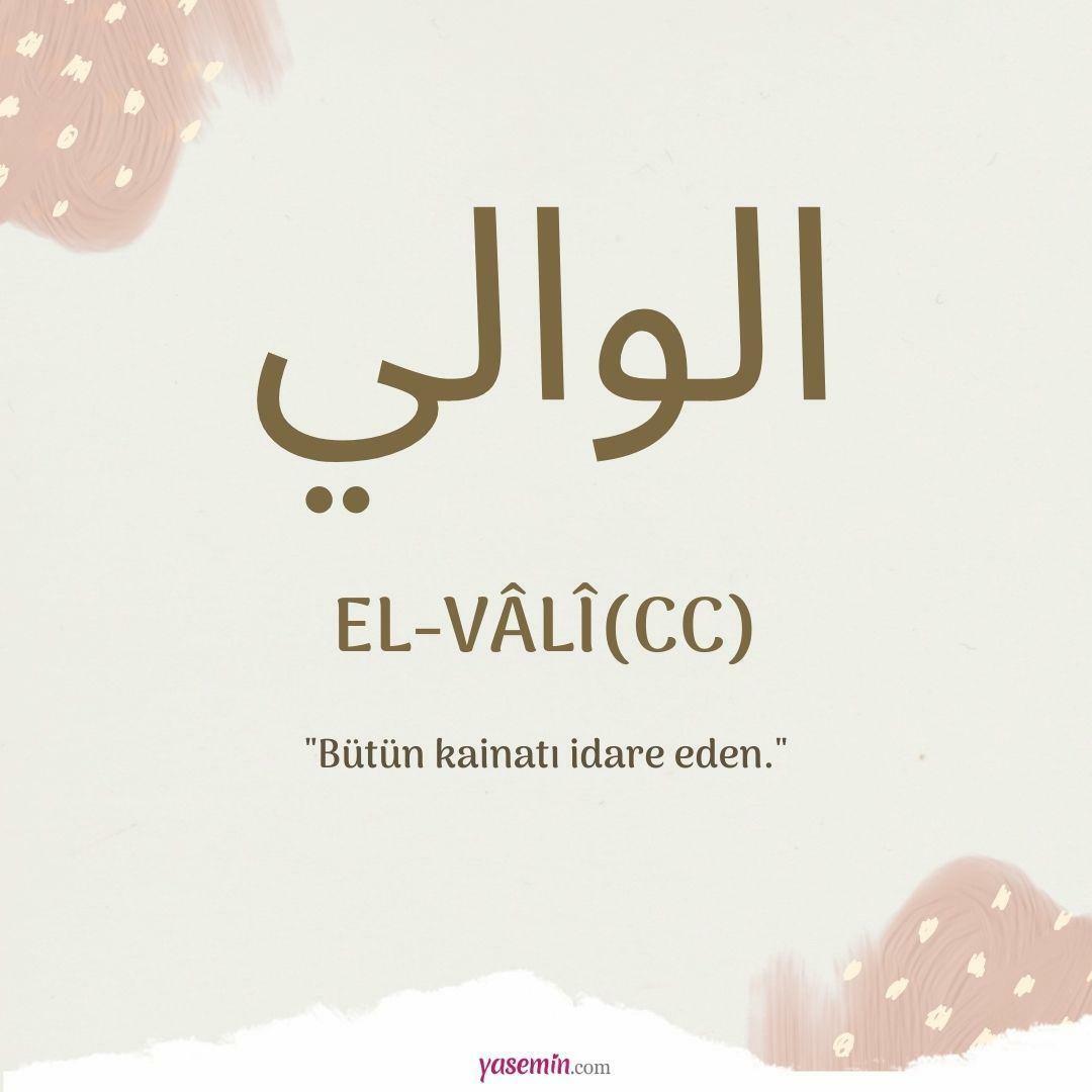 Cosa significa al-Vali (c.c)?