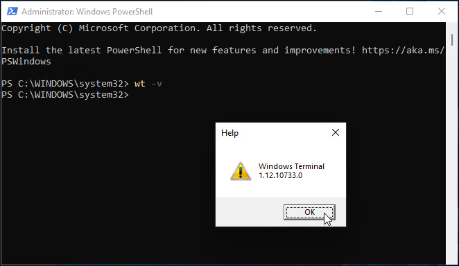 versione di Windows Terminal