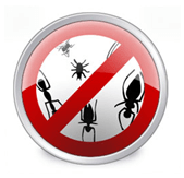 Installa l'antivirus per eliminare i bug e il codice virus nasy!