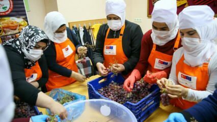 Le donne siriane imparano a trasformare l'uva in melassa a Smirne