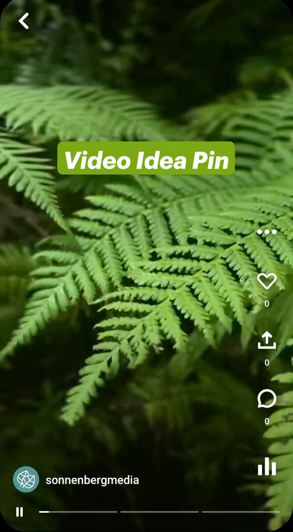 quali-sono-pinterest-idea-pins-sonnenbergmedia-video-pin-example-1