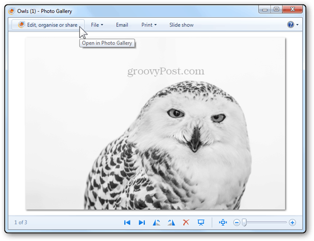 ridimensionamento delle foto tutorial windows live galleria fotografica eit organizza condivisione 