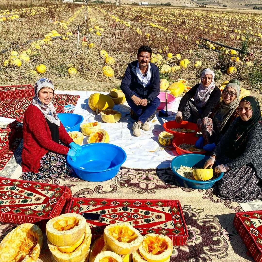 Kürşat Başar è andato alla raccolta dei semi di zucca con il programma Day Night