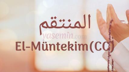 Cosa significa Al-Muntakim (c.c)? Quali sono le virtù di Al-Muntakim (c.c)?