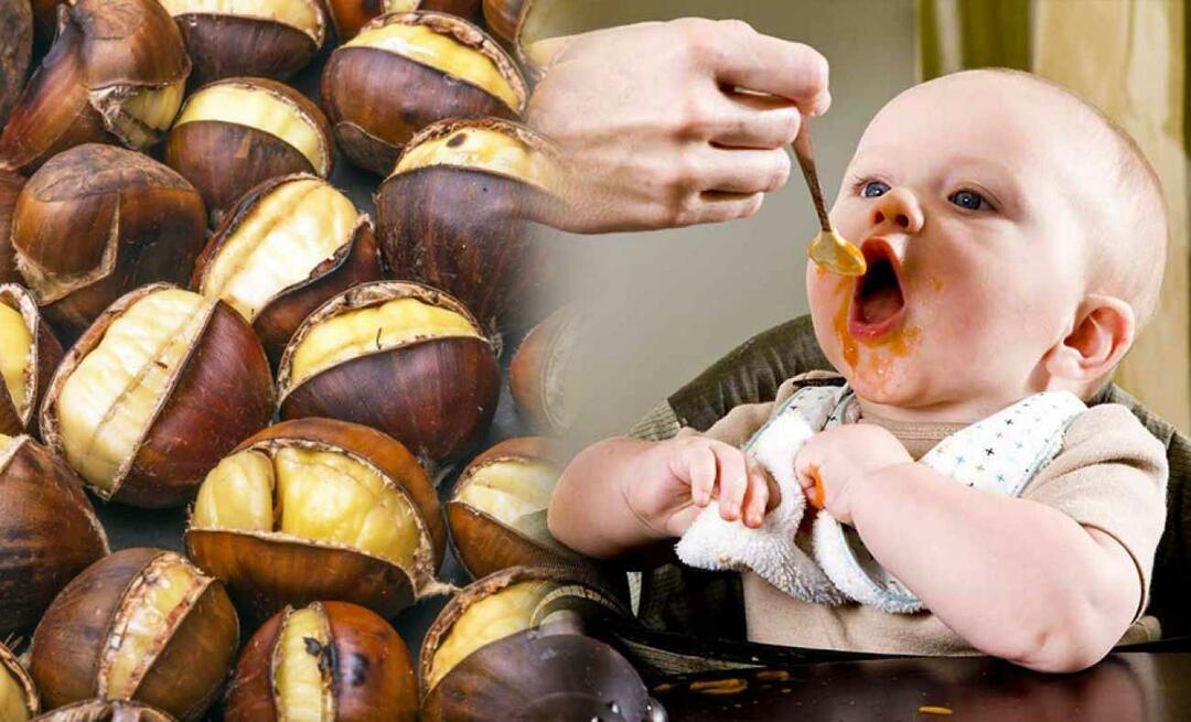 I bambini possono mangiare le castagne? Come fare il budino di castagne?