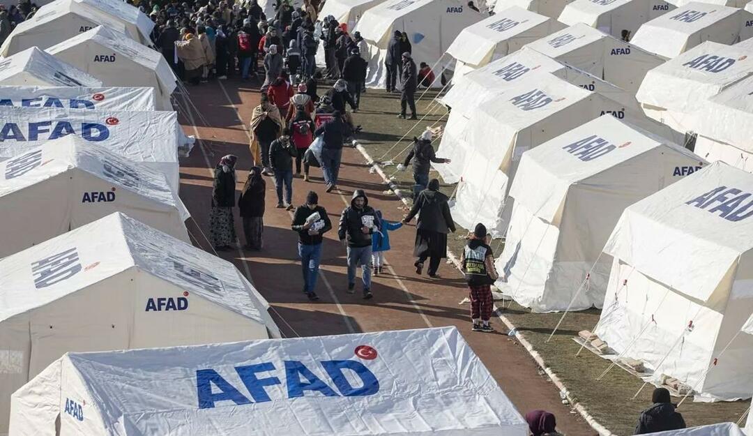 Il 15 febbraio tutti gli schermi diventano un solo cuore: Solidarietà del secolo...