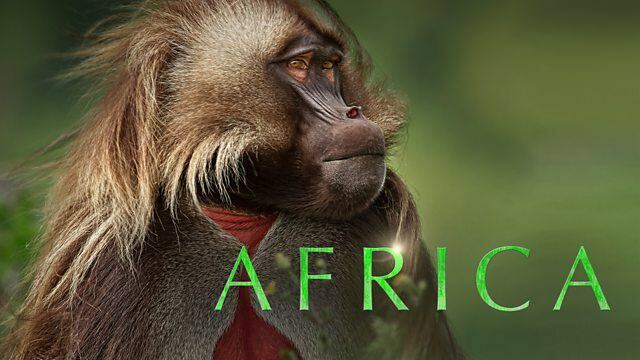 Africa / Africa (2013)