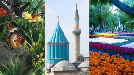 Guida di viaggio a Konya