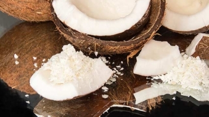 Come tagliare il cocco è il più pratico?