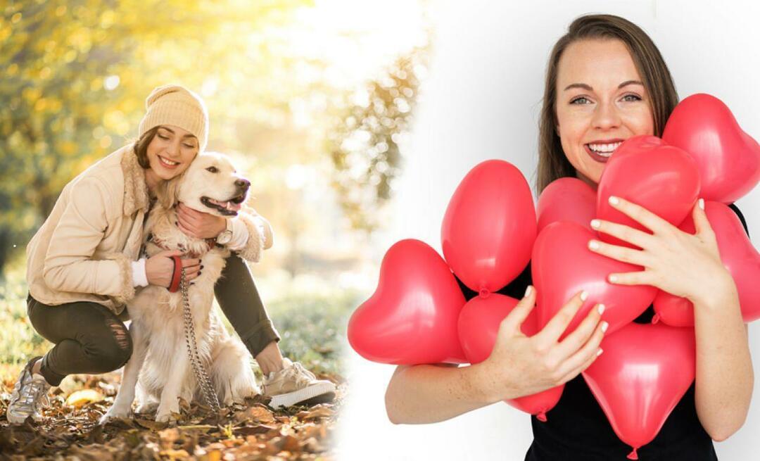 Dove andare per la festa della donna? Percorsi di viaggio giornalieri speciali per la Festa della Donna