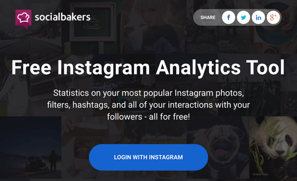 Accedi con Instagram per accedere al report gratuito di Socialbakers.