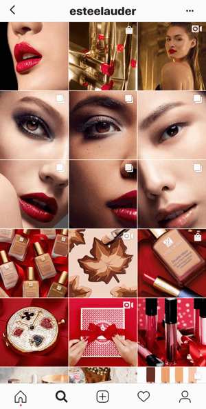 Esempio del feed Instagram di Estee Lauder che mostra diverse immagini divise nella loro griglia.