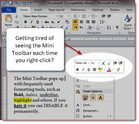 Rimuovere Mini-Toolbar in Word 2007 e Word 2010