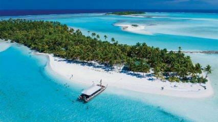 La bellezza nascosta dell'Oceania: Isole Cook