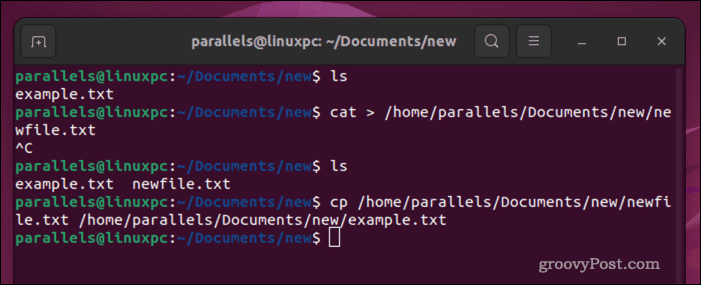 Svuotamento di un file Linux utilizzando il comando cp