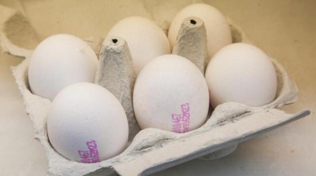 Come viene compreso l'uovo biologico? Cosa significano i codici dell'uovo?