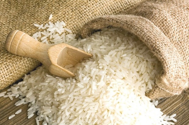 Cos'è il riso Baldo? Quali sono le caratteristiche del riso Baldo? Prezzi del riso baldo 2020