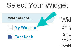 sito web widget