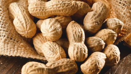 Quali sono i benefici delle arachidi? Per quali malattie sono utili le arachidi?