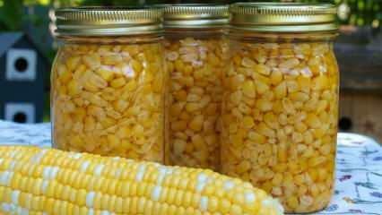 Come viene conservato il mais? I metodi più semplici per conservare il mais! Preparazione del mais invernale