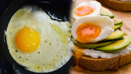 Quali oli sono benefici per la nostra salute? Se consumi l'uovo crudo ...
