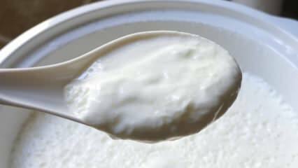 Qual è il modo più semplice per preparare lo yogurt? Fare lo yogurt come una pietra a casa! Il vantaggio dello yogurt fatto in casa