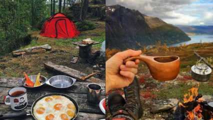 Quali sono le attrezzature da cucina necessarie per il campeggio? Elenco delle attrezzature da cucina necessarie per il campeggio ...