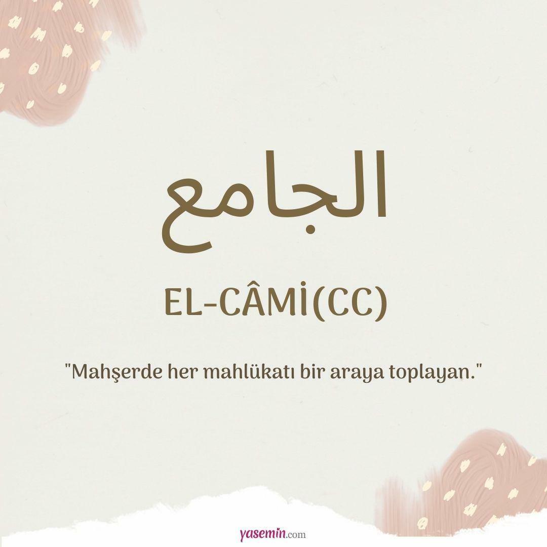 Cosa significa Al-Cami (c.c)?