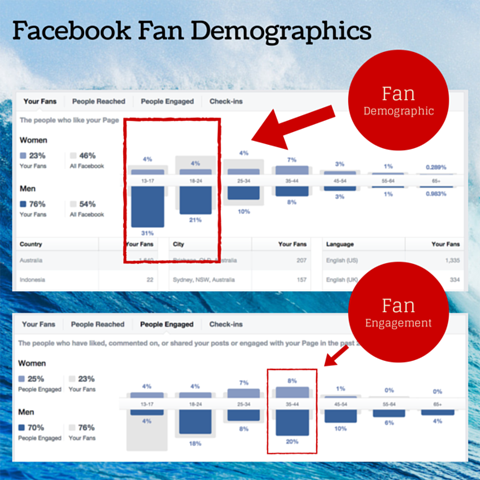 grafico demografico dei fan di Facebook