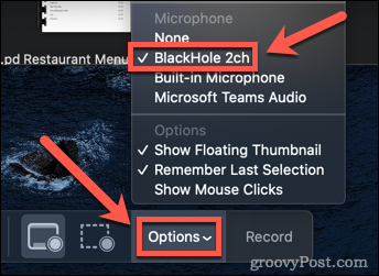 seleziona le opzioni audio su mac