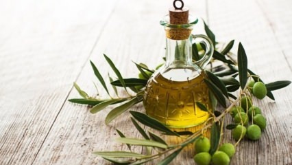 Come estrarre l'acido dell'olio d'oliva?