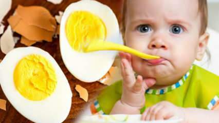 Come dovrebbero essere dati i tuorli d'uovo ai bambini? Quanti mesi per avviare l'uovo? Ricetta uovo per bambini