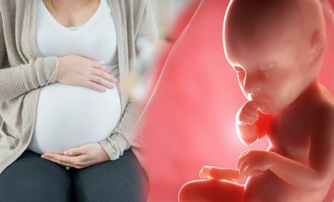 In che modo i bambini ricevono i nutrienti dalla madre durante la gravidanza? Come nutrire il bambino nell'utero dalla madre
