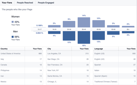 dati demografici dei fan di Facebook