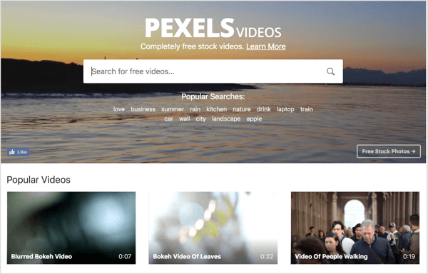 Pexels offre video d'archivio gratuiti che puoi utilizzare nei tuoi annunci video di LinkedIn.