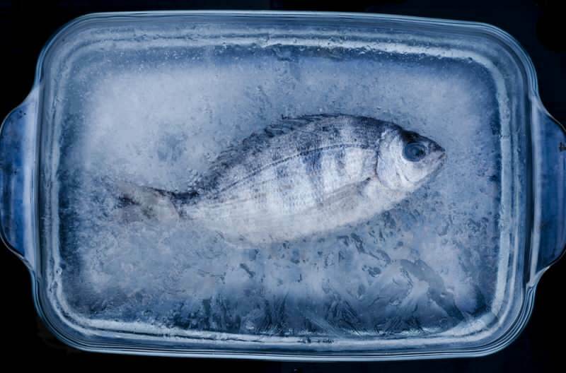 Cambia il sapore del pesce gettato nel congelatore? Chi continua ad aspettare qualche giorno ...