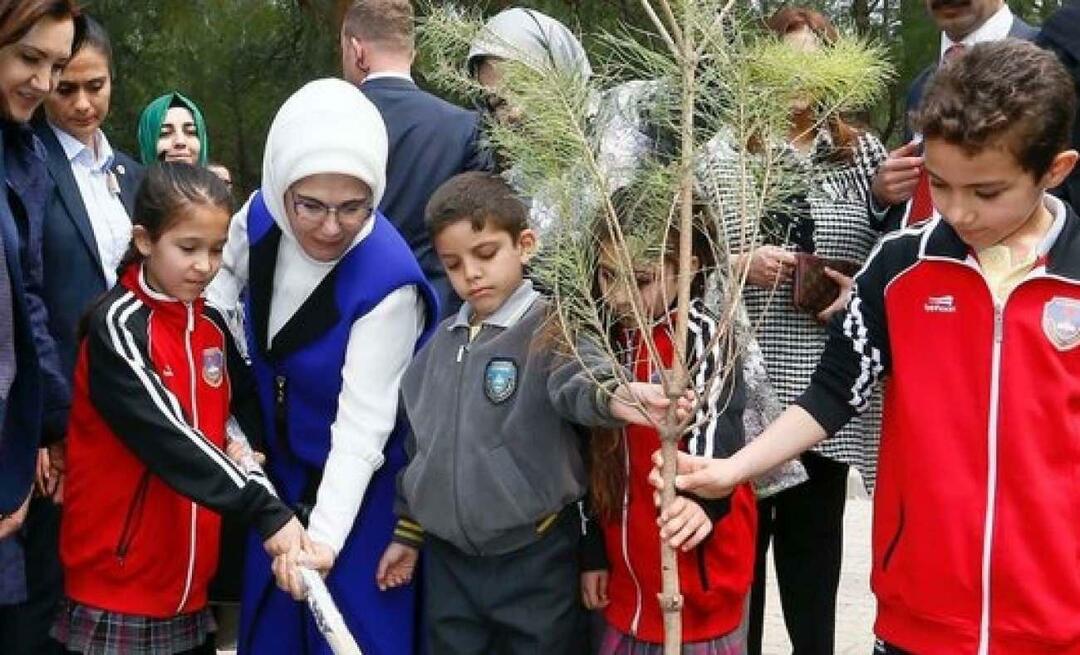 Post della First Lady Erdoğan sulla Giornata nazionale del rimboschimento