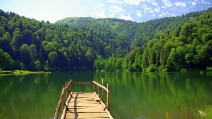 Trabzon ravviverà il turismo con i giardini di lavanda!