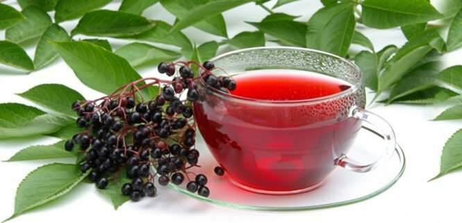 il tè di sambuco offre incredibili benefici al sistema immunitario