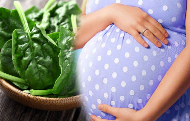 consumo di acido folico in gravidanza