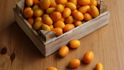 Quali sono i vantaggi di Kumquat (Kumkat)? Per quali malattie è adatto il kumquat? Come viene consumato il kumquat?