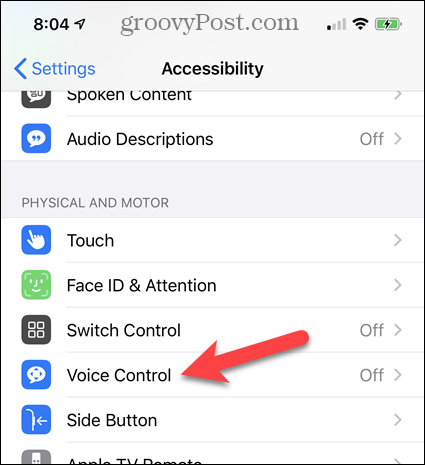 Tocca Controllo vocale in Impostazioni di accessibilità per iPhone